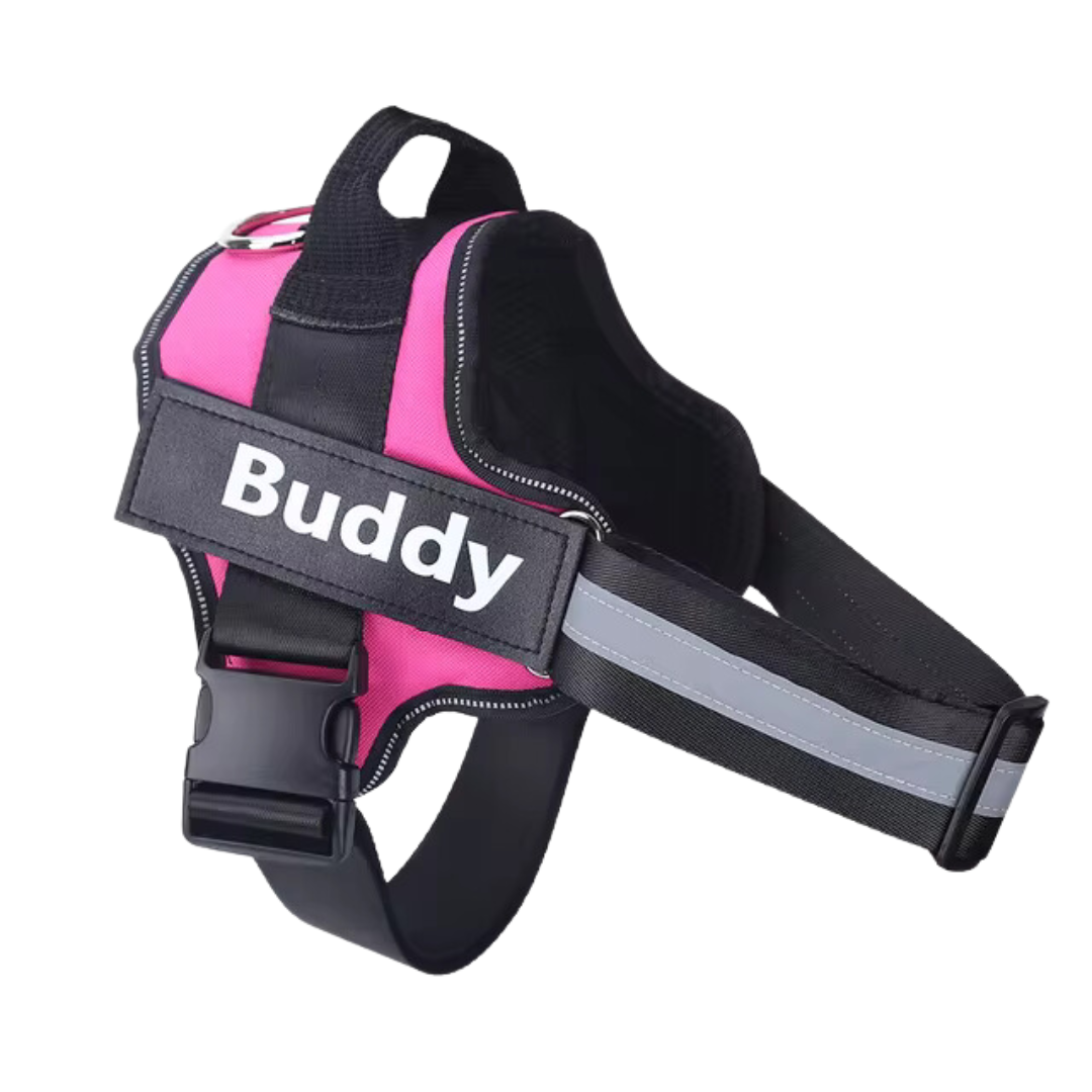 Custom Dog Harness